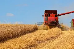 bearings in agriculture machinery